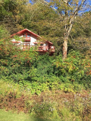 Alpine Four Season Lodge Shandaken NY sleeps 18 Shandaken